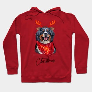 Christmas Bernese Mountain Dog Hoodie